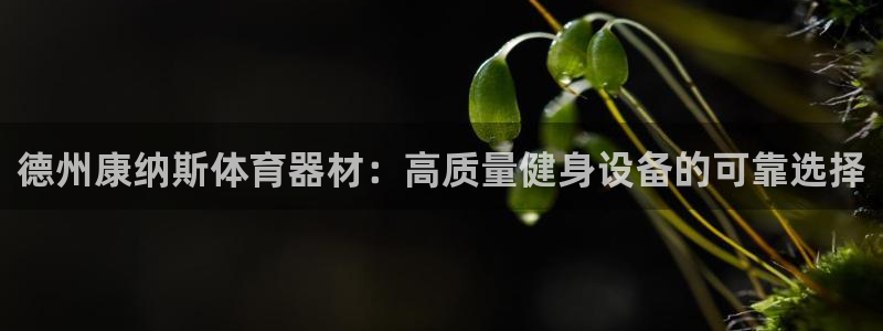 尊龙app认可ag发财网：德州康纳斯体育器材：高质量